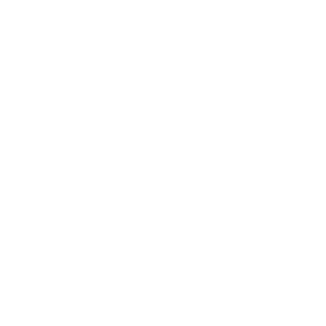 shoe-collection-sheets-icon-lg